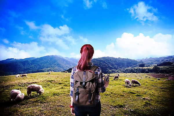 PSD 구름 편집이미지 여자 여행 여러마리 배낭 자연 하늘 산 한명 서기 풍경 초원 상반신 성인 뒷모습 양 방목 디지털합성 합성 포니테일 체크셔츠 이미지편집 자연요소 1 헤어스타일 뷰포인트 다수 셔츠 가방 포유류 모션 사람 축산업 생태계 파일형식