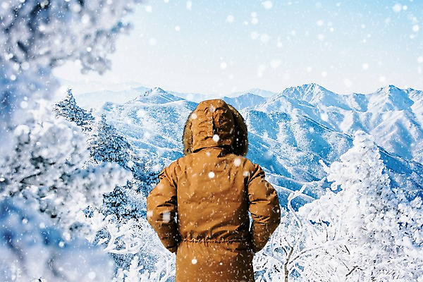 PSD 나무 편집이미지 여자 겨울 자연 하늘 산 한명 서기 풍경 상반신 성인 뒷모습 눈 겨울여행 디지털합성 합성 안식처 털점퍼 눈내림 이미지편집 자연요소 식물 1 계절 뷰포인트 여행 모션 날씨 휴식 눈_날씨 사람 점퍼 생태계 파일형식