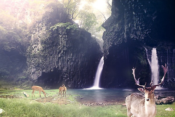 JPG 주간 나무 편집이미지 상상 자연 사슴 풍경 잔디 사람없음 야외 물 폭포 꿈 바위 디지털합성 합성 디지털아트 편집실사 자연요소 식물 포유류 돌_바위 CG 생태계 파일형식