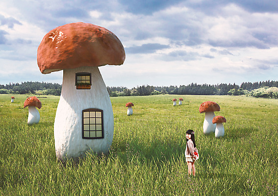 JPG 나무 구름 편집이미지 여자 어린이 창문 상상 자연 하늘 한명 풍경 소녀 초원 버섯 꿈 한국인 디지털합성 합성 디지털아트 소녀만 소녀한명만 편집실사 자연요소 식물 1 사람 동양인 CG 생태계 여자만 여자한명만 어린이만 파일형식