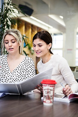 포토 JPG 서양인 외국인 여자 회의 협력 실내 앉기 상반신 20대 성인 두명 앞모습 사무실 비즈니스우먼 동료 성인여자만 국내포토 뷰포인트 비즈니스 관계 모션 사람 인종 청년 내부 직장인 여자만 성인만 파일형식