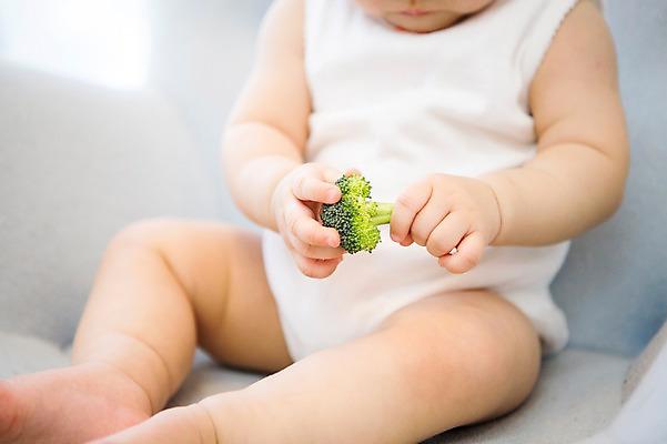 포토 JPG 스튜디오촬영 여자 놀이 실내 한명 아기용품 한국인 아기 브로콜리 국내포토 1 채소 사람 동양인 내부 오브젝트 파일형식