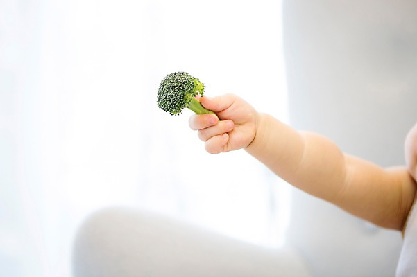 포토 JPG 스튜디오촬영 여자 실내 한명 신체부위 아기용품 한국인 아기 브로콜리 팔 국내포토 1 채소 사람 동양인 내부 오브젝트 파일형식