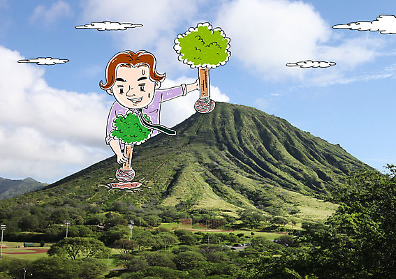 주간 나무 구름 편집이미지 남자 산 합성일러스트 한명 성인 야외 환경 합성 나무심기 이미지편집 AI파일 자연요소 식물 1 사람 심기 파일형식 벡터