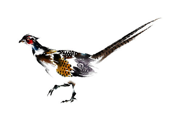 PSD 한마리 일러스트 캘리그라피 조류 수묵화 사람없음 꿩 국내일러스트 동물 1 미술 파일형식