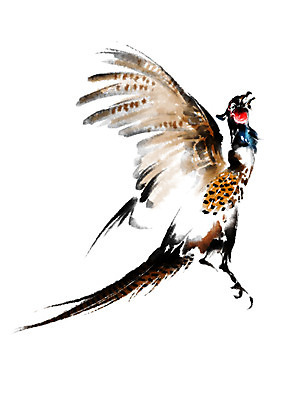 PSD 한마리 일러스트 캘리그라피 조류 수묵화 사람없음 꿩 국내일러스트 동물 1 미술 파일형식