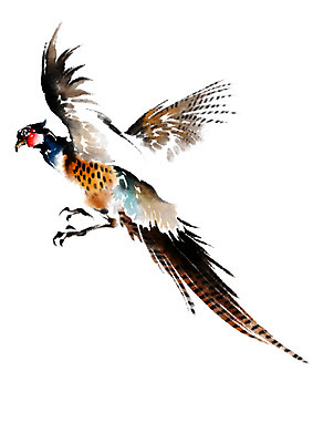 PSD 한마리 일러스트 캘리그라피 조류 수묵화 사람없음 꿩 국내일러스트 동물 1 미술 파일형식