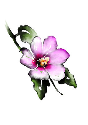 PSD 꽃 일러스트 캘리그라피 수묵화 사람없음 무궁화 국내일러스트 식물 미술 파일형식