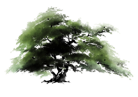 PSD 나무 일러스트 캘리그라피 한그루 수묵화 사람없음 국내일러스트 식물 1 미술 파일형식