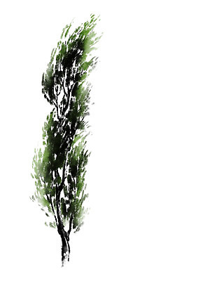 PSD 나무 일러스트 캘리그라피 한그루 수묵화 사람없음 국내일러스트 식물 1 미술 파일형식