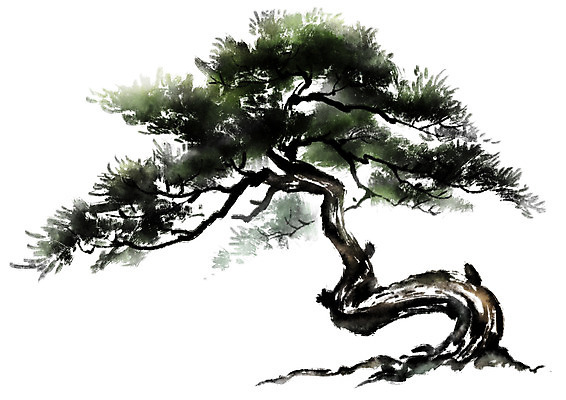 PSD 나무 일러스트 캘리그라피 한그루 수묵화 사람없음 소나무 국내일러스트 식물 1 미술 파일형식