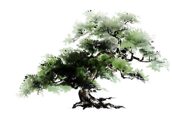 PSD 나무 일러스트 캘리그라피 한그루 수묵화 사람없음 소나무 국내일러스트 식물 1 미술 파일형식