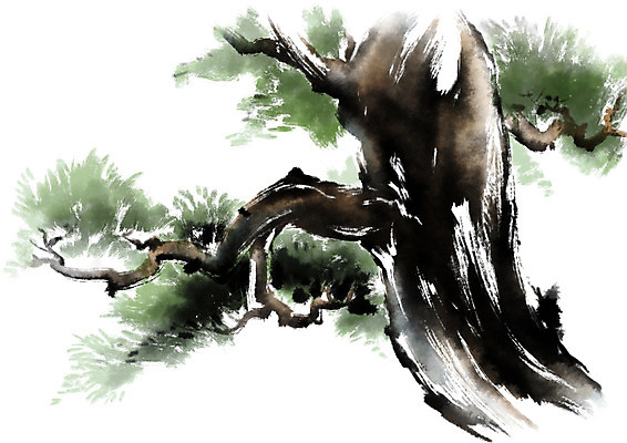 PSD 나무 일러스트 캘리그라피 한그루 수묵화 사람없음 소나무 국내일러스트 식물 1 미술 파일형식