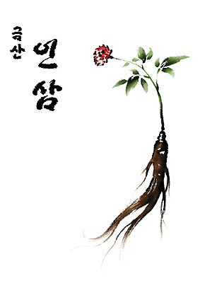 PSD 일러스트 캘리그라피 수묵화 사람없음 인삼 특산물 금산 금산인삼 인삼꽃 국내일러스트 꽃 미술 삼 충청남도 파일형식