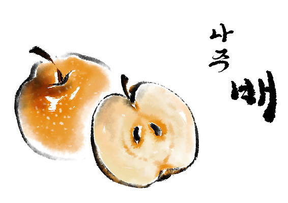 PSD 과일 일러스트 캘리그라피 수묵화 사람없음 배 특산물 나주배 국내일러스트 미술 배_과일 파일형식