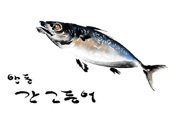 PSD 일러스트 캘리그라피 어류 수묵화 사람없음 특산물 고등어 간고등어 안동 국내일러스트 미술 수중동물 경상북도 파일형식