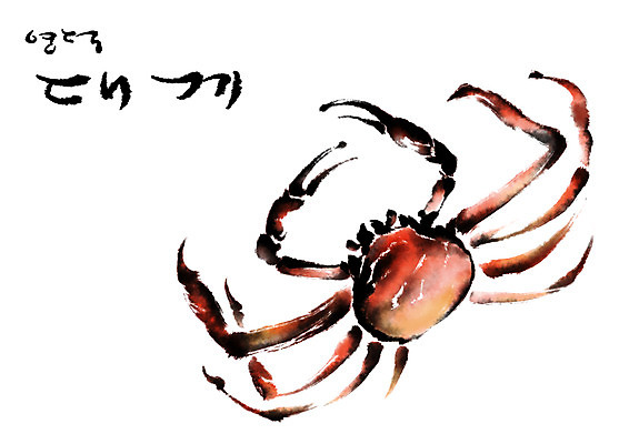 PSD 일러스트 캘리그라피 수묵화 사람없음 특산물 대게 영덕대게 국내일러스트 미술 게 영덕 파일형식