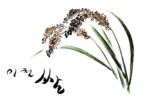 PSD 일러스트 캘리그라피 수묵화 사람없음 쌀 특산물 이천 국내일러스트 곡류 미술 경기도 파일형식