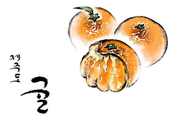 PSD 일러스트 캘리그라피 귤 수묵화 사람없음 제주도 특산물 국내일러스트 과일 한국 미술 파일형식