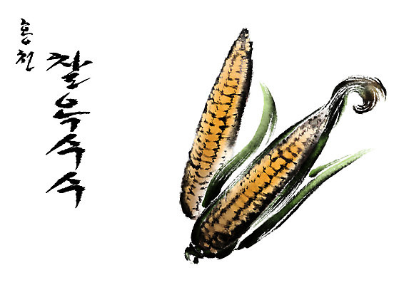 PSD 일러스트 캘리그라피 옥수수 수묵화 사람없음 특산물 홍천 국내일러스트 곡류 미술 강원도 파일형식