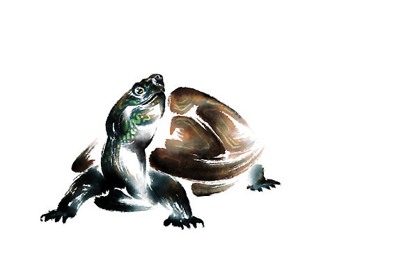 PSD 동물 한마리 일러스트 캘리그라피 수묵화 사람없음 자라 국내일러스트 1 파충류 미술 파일형식