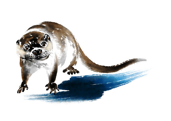 PSD 동물 한마리 일러스트 캘리그라피 수묵화 사람없음 수달 국내일러스트 1 미술 파일형식
