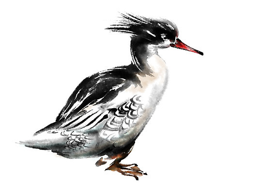 PSD 동물 한마리 일러스트 캘리그라피 조류 수묵화 사람없음 국내일러스트 1 미술 파일형식