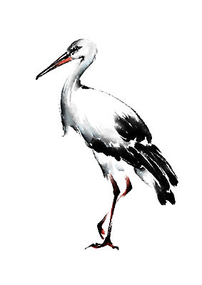 PSD 동물 한마리 일러스트 캘리그라피 수묵화 사람없음 왜가리 국내일러스트 1 조류 미술 파일형식