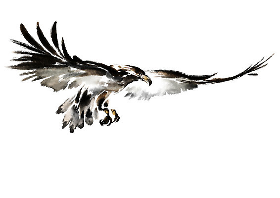 PSD 동물 한마리 일러스트 캘리그라피 수묵화 사람없음 독수리 국내일러스트 1 조류 미술 파일형식