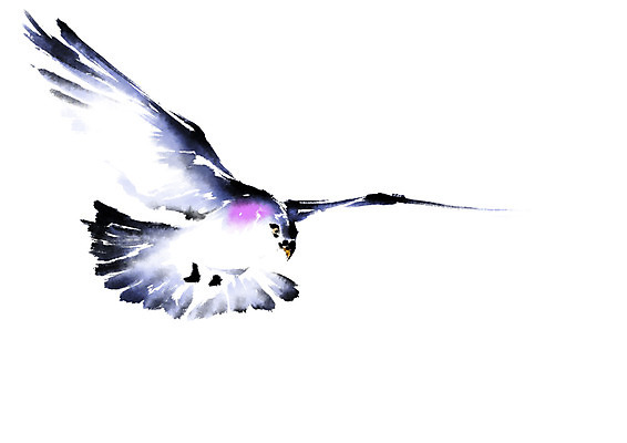 PSD 한마리 일러스트 캘리그라피 조류 수묵화 사람없음 국내일러스트 동물 1 미술 파일형식