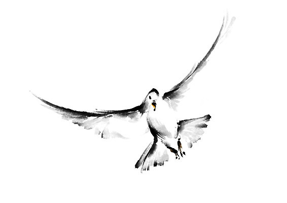 PSD 한마리 일러스트 캘리그라피 조류 수묵화 사람없음 비둘기 국내일러스트 동물 1 미술 파일형식