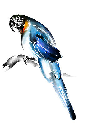 PSD 한마리 일러스트 캘리그라피 조류 수묵화 사람없음 앵무새 국내일러스트 동물 1 미술 파일형식