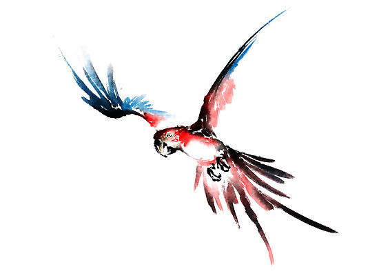 PSD 한마리 일러스트 캘리그라피 조류 수묵화 사람없음 앵무새 국내일러스트 동물 1 미술 파일형식