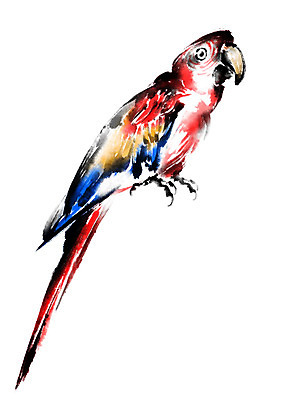 PSD 한마리 일러스트 캘리그라피 조류 수묵화 사람없음 앵무새 국내일러스트 동물 1 미술 파일형식