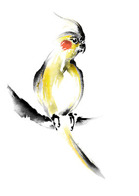 PSD 한마리 일러스트 캘리그라피 조류 수묵화 사람없음 앵무새 왕관앵무새 국내일러스트 동물 1 미술 파일형식