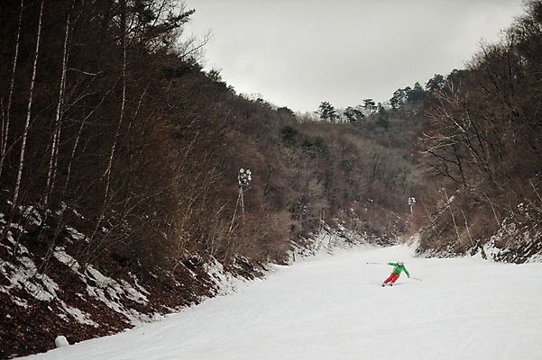 포토 JPG 주간 전신 나무 남자 겨울 스키 스키장 고글 한명 20대 야외 앞모습 설원 한국인 숲 헬멧 스키복 스키선수 폴 활강 용평스키장 청년남자한명만 성인남자한명만 국내포토 자연요소 식물 1 옷 계절 뷰포인트 겨울스포츠 운동선수 눈_날씨 사람 동양인 청년 보호장비 스키용품 용평 남자한명만 성인남자만 청년남자만 파일형식