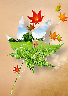 PSD 나무 편집이미지 여자 단풍 낙엽 나뭇잎 한명 잔디 20대 성인 한국인 가을 춤 이미지편집 식물 1 계절 잎 문화예술 사람 동양인 청년 파일형식