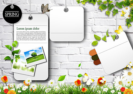 PSD 편집이미지 꽃 벽 나비 나뭇잎 프레임 사람없음 봄 기념사진 넝쿨나무 이미지편집 나무 식물 계절 곤충 잎 파일형식