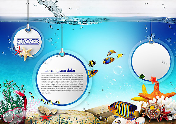 PSD 편집이미지 바다 조개 불가사리 프레임 어류 사람없음 물 여름 산호 스노클링용품 이미지편집 자연요소 계절 스포츠용품 어패류 극피동물 수중동물 스노클링 자포동물 파일형식