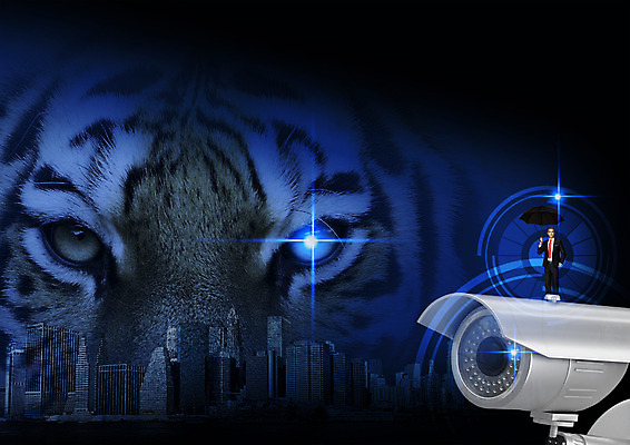 PSD 백인 편집이미지 한마리 남자 40대 한명 서기 정장 성인 파란색 도시 비즈니스맨 호랑이 감시카메라 노려봄 이미지편집 서양인 1 옷 컬러 중년 비즈니스 포유류 모션 표정 사람 카메라 직장인 파일형식