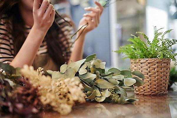 포토 JPG 식물 손 여자 꽃 화분 잎 실내 한명 들기 상반신 20대 성인 신체부위 한국인 드라이플라워 플로리스트 국내포토 직업 1 모션 사람 동양인 청년 내부 파일형식