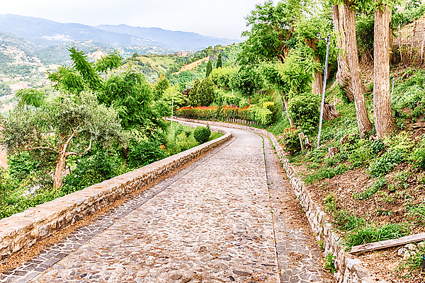 포토 JPG 해외이미지 공원 도로 길 백그라운드 곡선 포장 자연 벽돌 거리 풍경 잔디 사람없음 야외 초록색 물 여름 정원 봄 산책 블록 조약돌 바위 흰색 시골 보행로 오솔길 방향 질감 내추럴 땅바닥 방법 옛날 해외202004 해외포토 자연요소 식물 계절 공공시설 선 컬러 교통시설 휴식 바닥 돌_바위 생태계 파일형식 이미지허브
