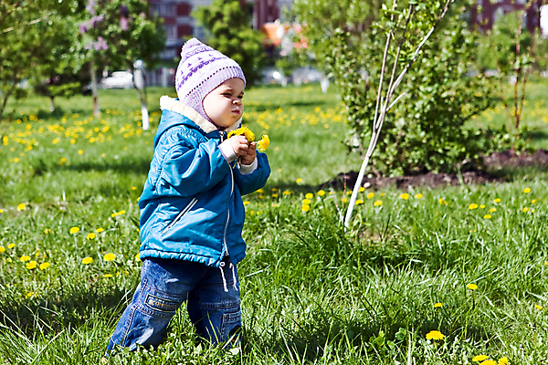 포토 JPG 해외이미지 식물 꽃 행복 밭 자연 기술 한명 풍경 야외 초록색 여름 햇빛 노란색 환경 화목 침묵 자유 벚꽃 민들레 땅 싱글 장면 평야 해외202004 해외포토 1 계절 감정 컬러 컨셉 농업 사람 태양 소리 생태계 파일형식 이미지허브