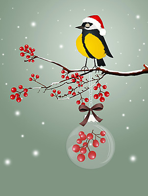 포토 JPG 해외이미지 나무 동물 열매 크리스마스 겨울 날개 일러스트 공 자연 조류 이벤트 사람없음 장식 산타클로스 냉동 얼음 나뭇가지 크리스탈 서리 부리 엽서 해외202004 해외포토 자연요소 식물 계절 기념일 광석 편지 생태계 파일형식 이미지허브