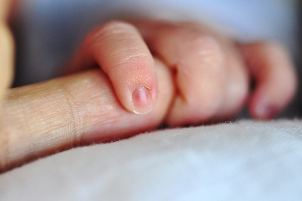 포토 JPG 해외이미지 손 분홍색 신체 손가락 가족 엄마 함께함 관리 사람 사람없음 청춘 엄지손가락 흰색 아기 신생아 잡기 닫기 손톱 부드러움 유대감 해외202004 해외포토 컬러 컨셉 관계 모션 신체부위 감각 파일형식 이미지허브