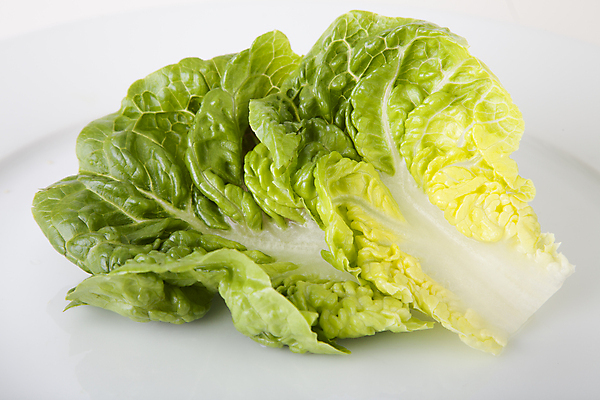 포토 JPG 해외이미지 접시 음식 채소 재료 건강 사람없음 흰색 신선 주식 상추 날것 생식 영양소 로메인상추 해외202004 해외포토 식기 컬러 금융 파일형식 이미지허브