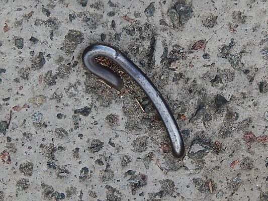 포토 JPG 해외이미지 모양 백그라운드 패턴 건축양식 거리 사람없음 건물 파란색 우주 계단 흰색 닫기 시멘트 판 옛날 콘크리트 해외202004 해외포토 건축물 건축 컬러 무늬 모션 파일형식 이미지허브