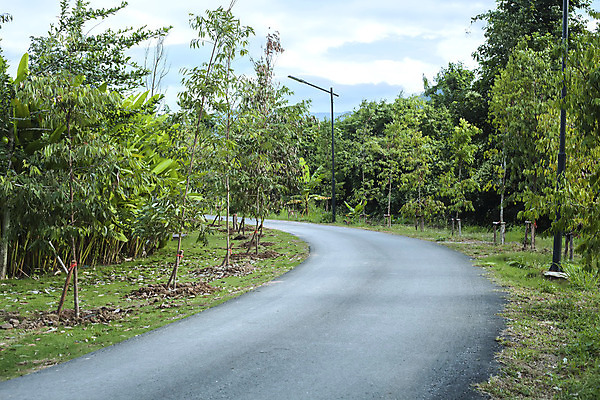 포토 JPG 해외이미지 모양 도로 여행 교통시설 자연 산 거리 숙이기 풍경 사람없음 야외 초록색 운전 방향 언덕 굴곡 자동 해외202004 해외포토 길 컬러 포즈 교통 모션 시설 생태계 파일형식 이미지허브