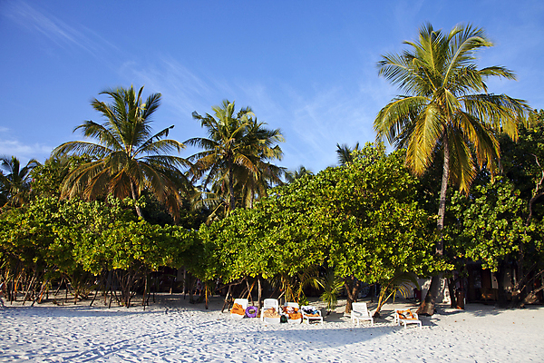 포토 JPG 해외이미지 나무 모래 의자 하늘 휴가 따뜻함 풍경 사람없음 여름 파란색 평화 침묵 뜨거움 해외202004 해외포토 식물 계절 컬러 가구 컨셉 소리 파일형식 이미지허브