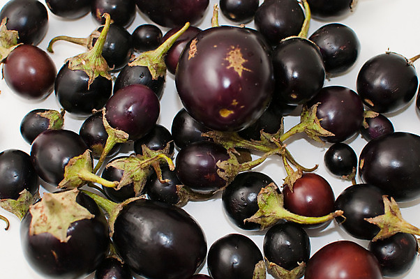 포토 JPG 해외이미지 식물 음식 채소 재료 자연 가지 건강 사람없음 초록색 파란색 빛 알약 보라색 흰색 그룹 유기농 고립 채식주의자 비건 해외202004 해외포토 웰빙 컬러 약 생태계 채식 파일형식 이미지허브